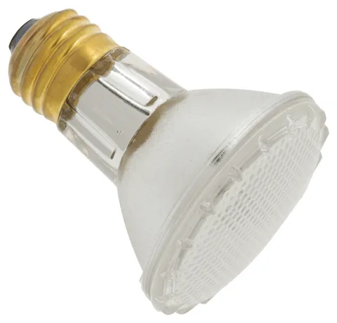 Lumière halogène PAR20 