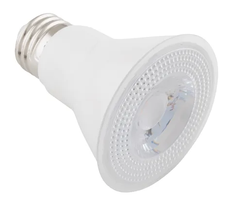 Lumière DEL PAR20 