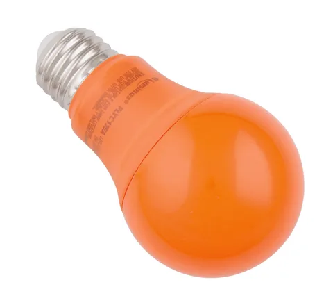 Lumière DEL A19 
