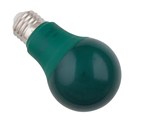 Lumière DEL A19 