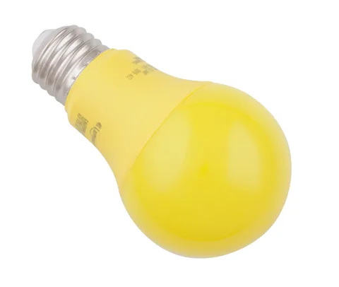 Lumière DEL A19 