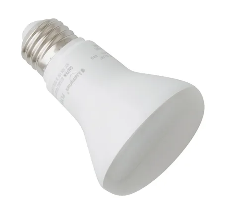 Lumière DEL R20 
