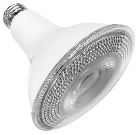 Lumière DEL PAR30 