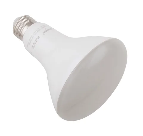 Lumière DEL BR30 