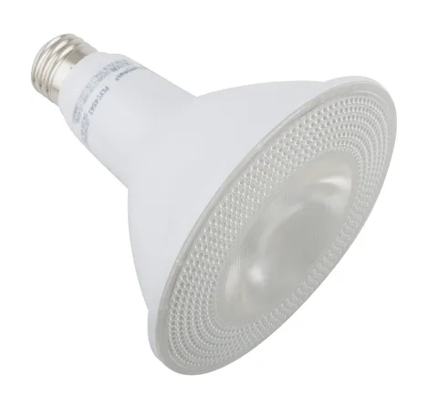 Lumière DEL PAR38 