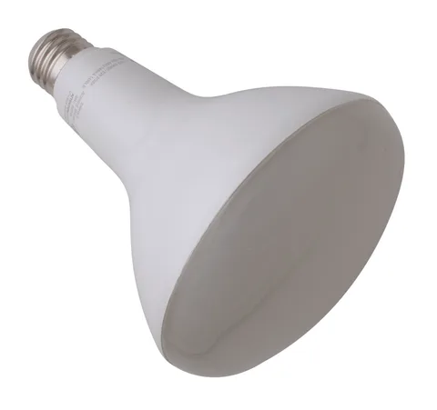 Lumière DEL BR40 