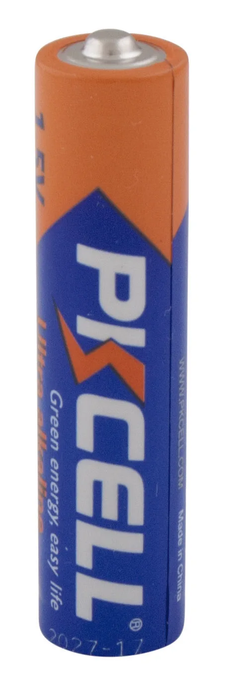 Batterie alcaline 