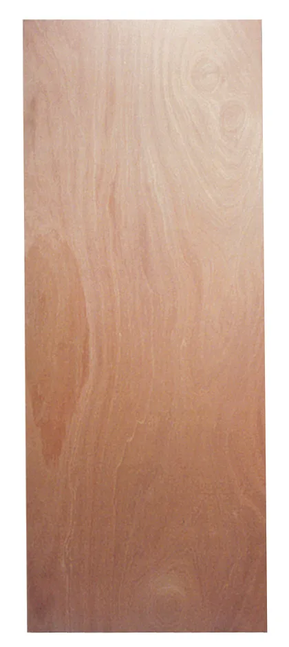 Porte d'intérieur masonite 