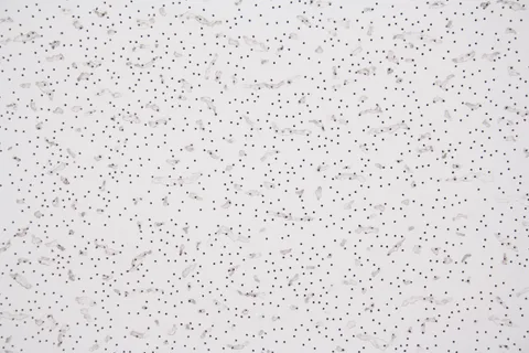 Tuile acoustique fissurée 