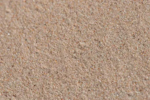 Sable commun humide 