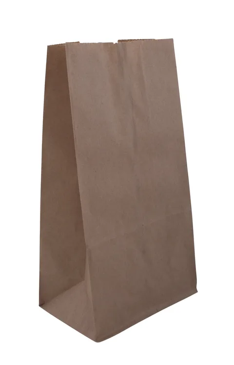 Sac en papier kraft 